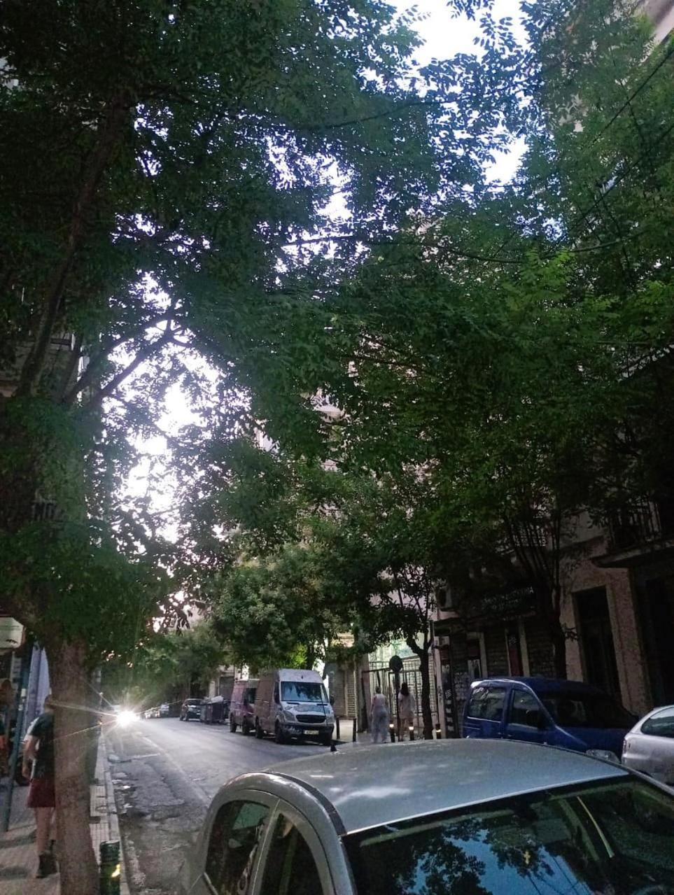 Athens Neoclassical 外观 照片