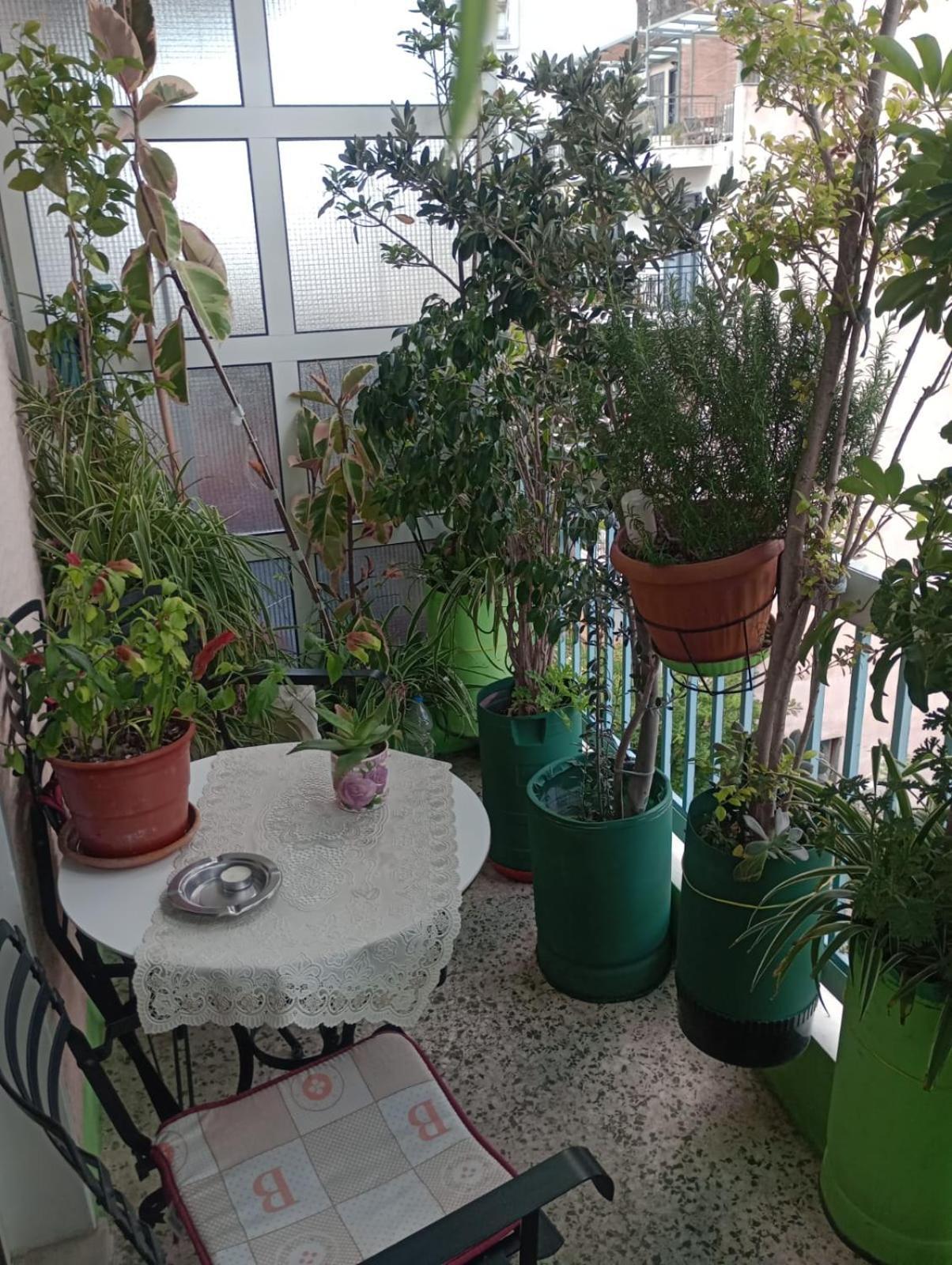 Athens Neoclassical 外观 照片